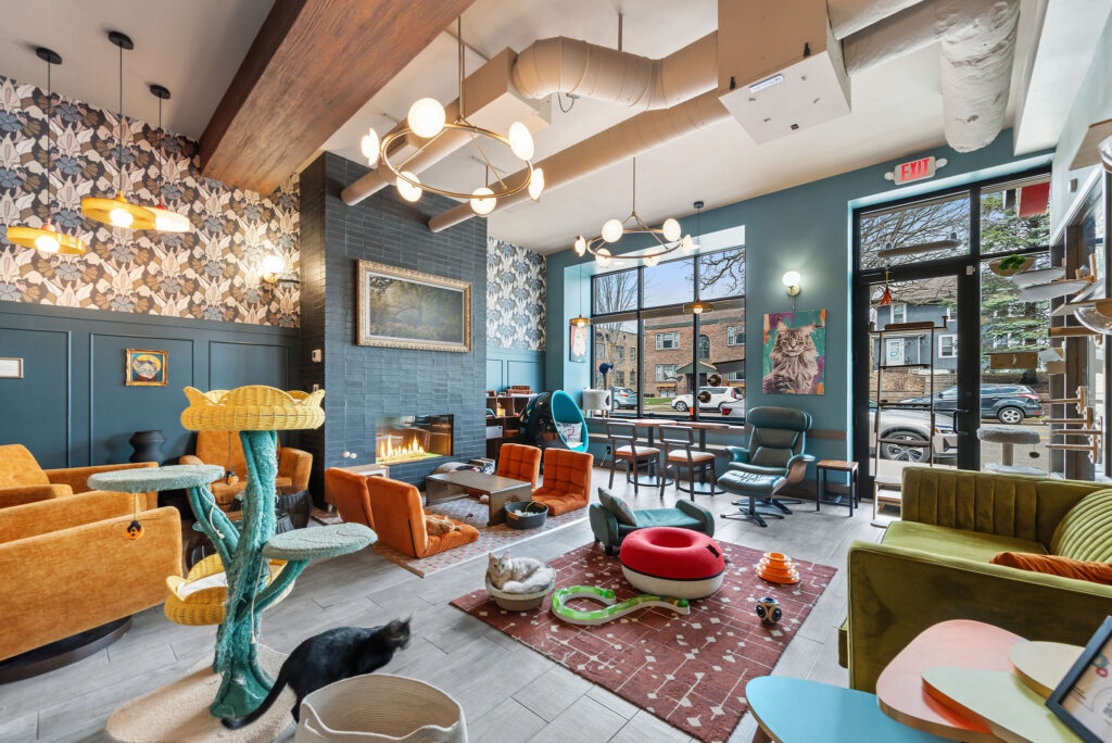 Catzen Coffee Shop Design | Studio M Architects